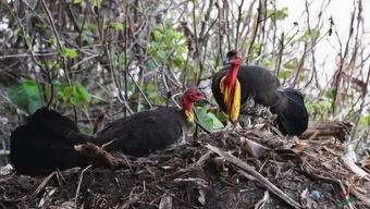 娱乐吃瓜小能手