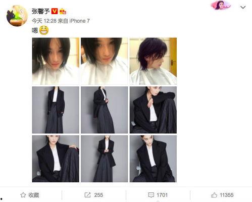 娱乐圈吃瓜剪映模板,明星幕后故事大起底!